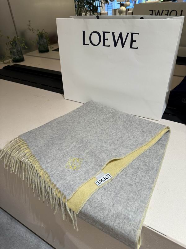 Loewe scarf 30X180cm E122143